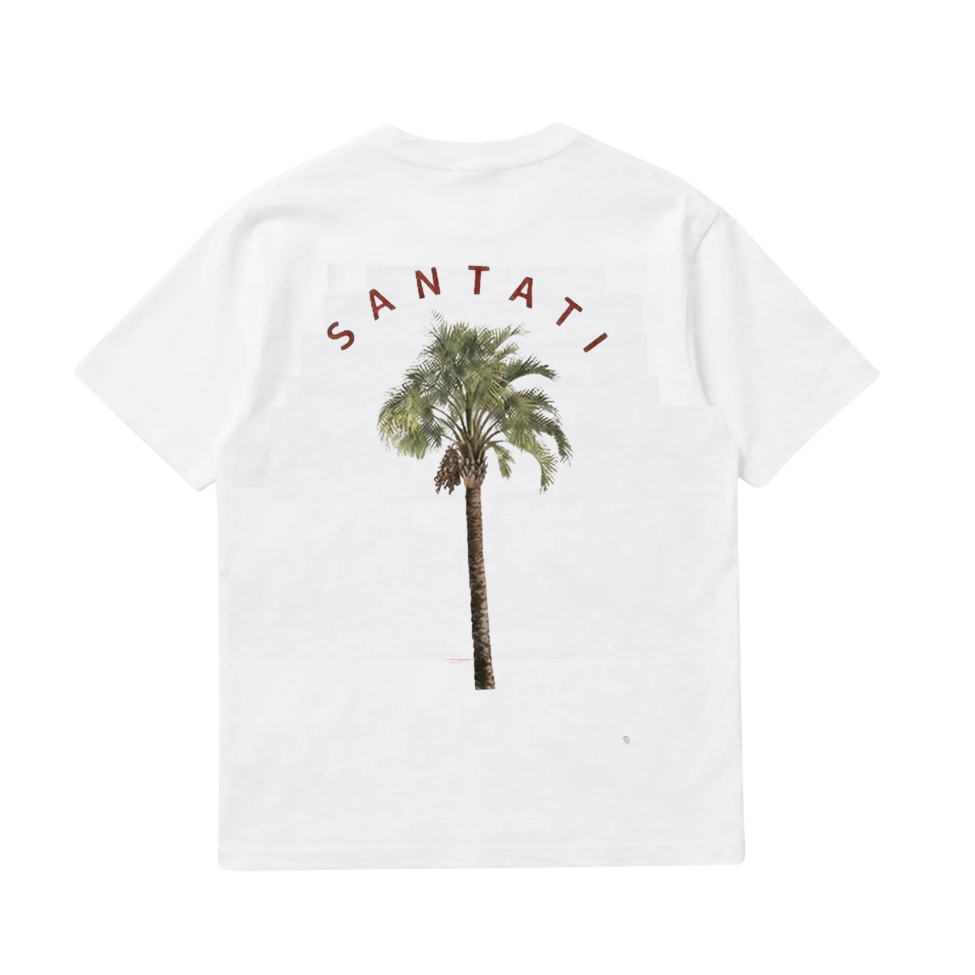 PALM TREE